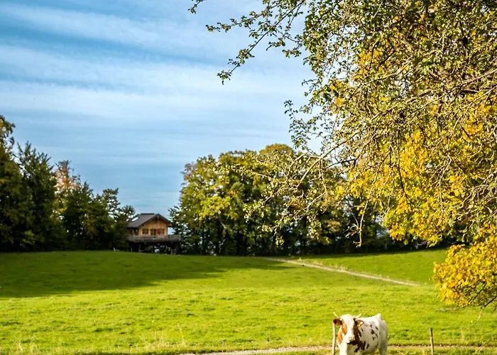 Feriehus Baumhaus